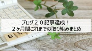 20記事