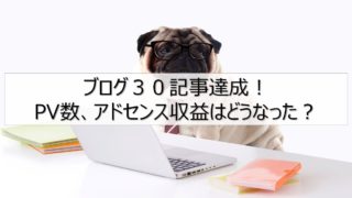 30記事達成