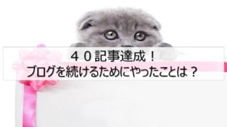 40記事達成