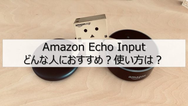 エコーインプットおすすめ