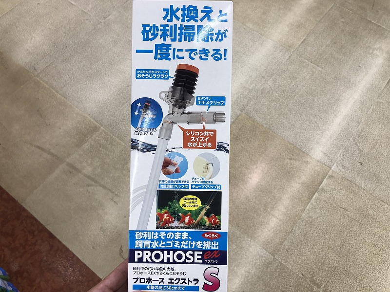 ザリガニのポンプ