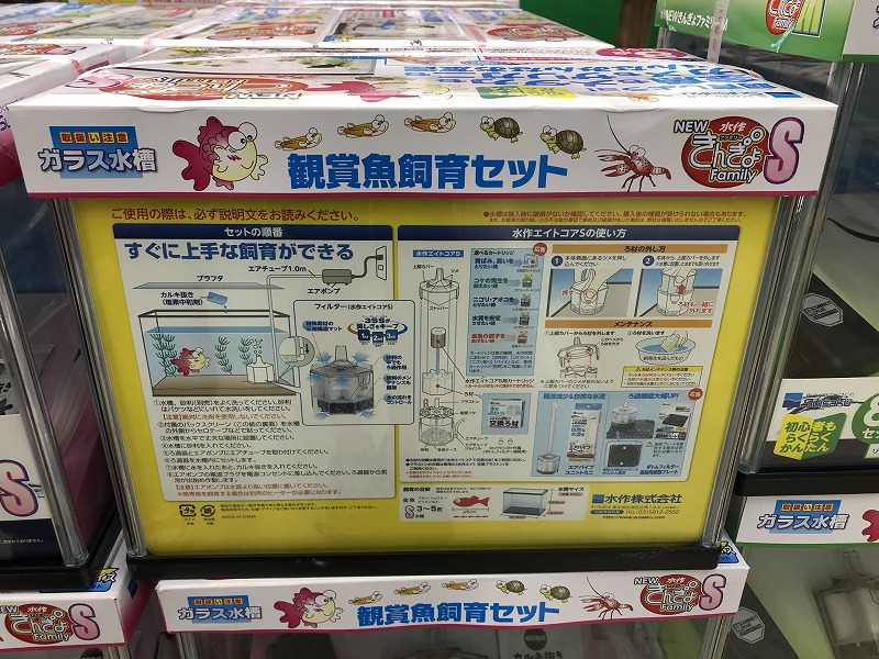 ザリガニ水槽裏面