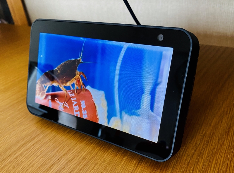 Echo Show 5の使い方、おすすめ機能３選。dotと置き換えてカラオケが 