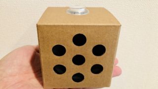 Google AIY Voice Kit