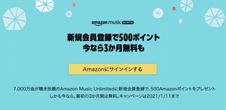 Amazon500ポイント